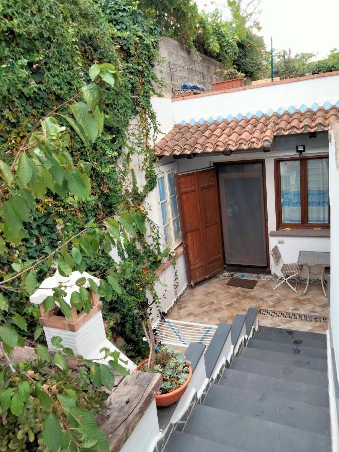 Casa Rustica Apartment Dorgali Exterior foto